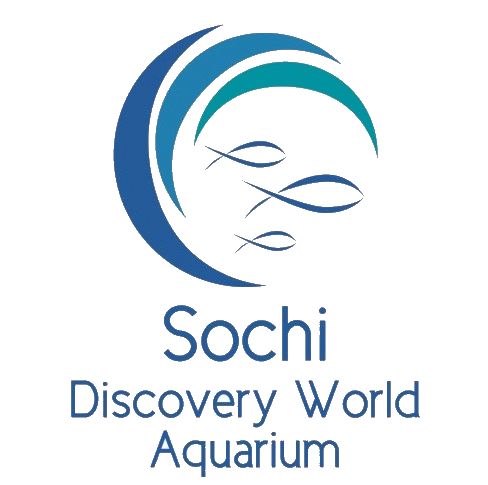Sochi Discovery World Aquarium Sochi Discovery World Aquarium