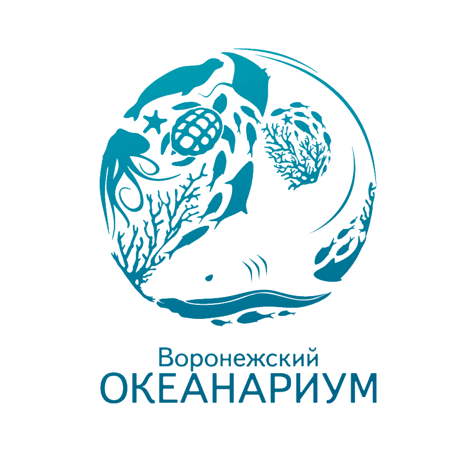 Воронежский океанариум Воронежский океанариум